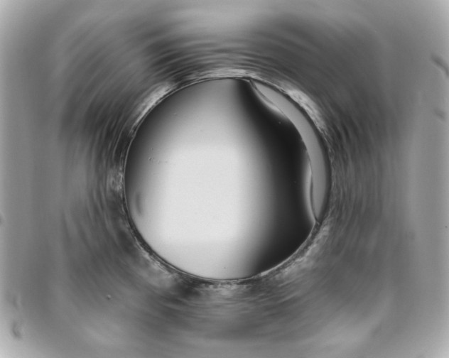 X0000096211193200802011315