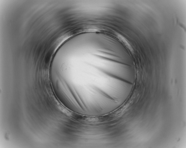 X0000096211194200802011315