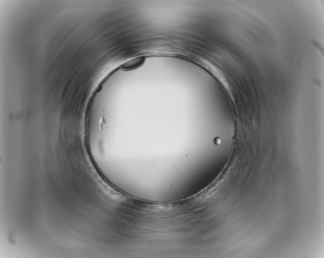 X0000096211195200802011315