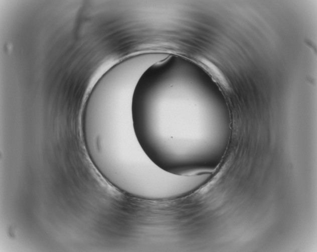 X0000096211196200802011315