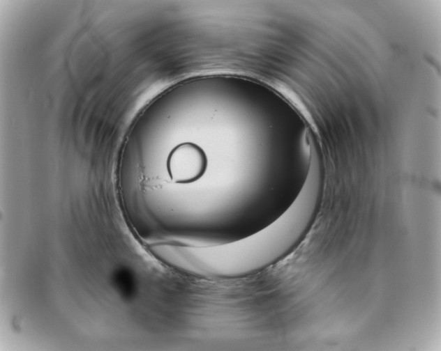 X0000096211197200802011314