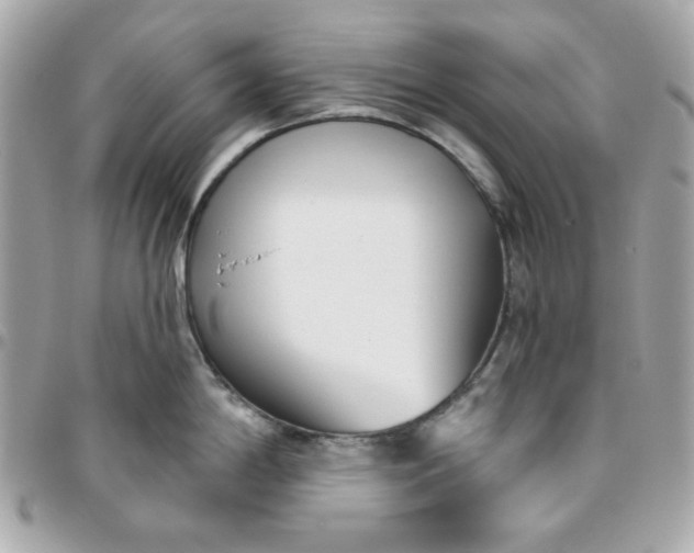 X0000096211198200802011314