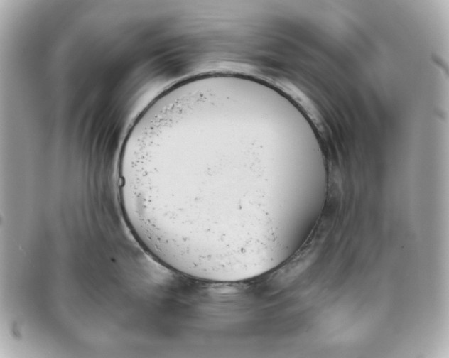 X0000096211199200802011314