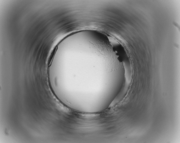 X0000096211200200802011314