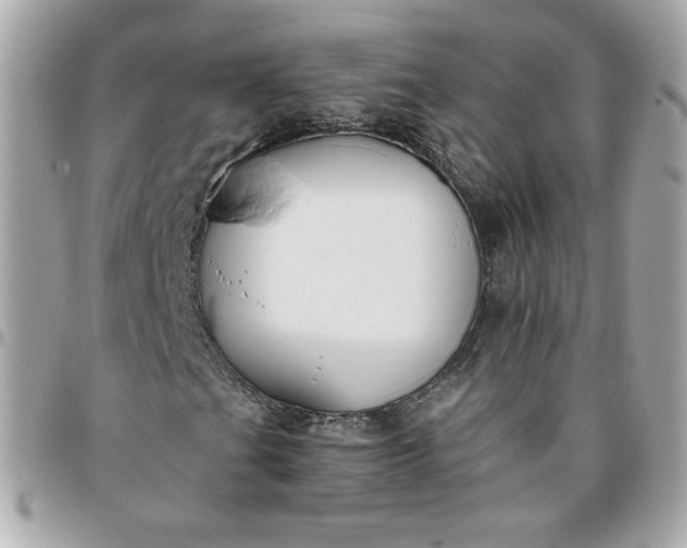 X0000096211201200802011314