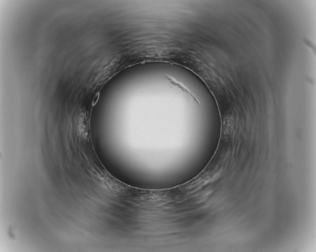 X0000096211202200802011314