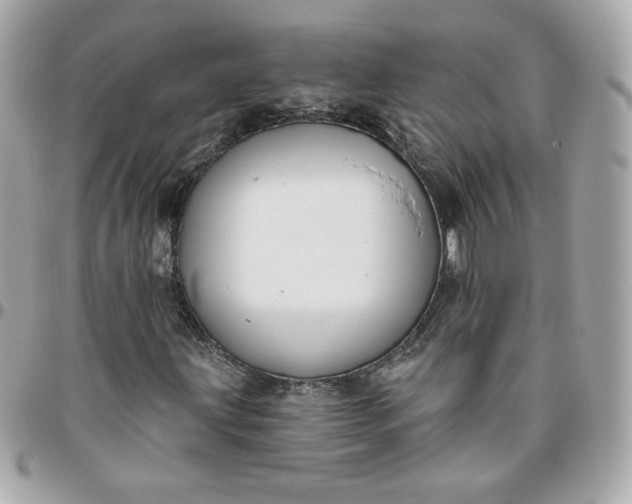 X0000096211203200802011314