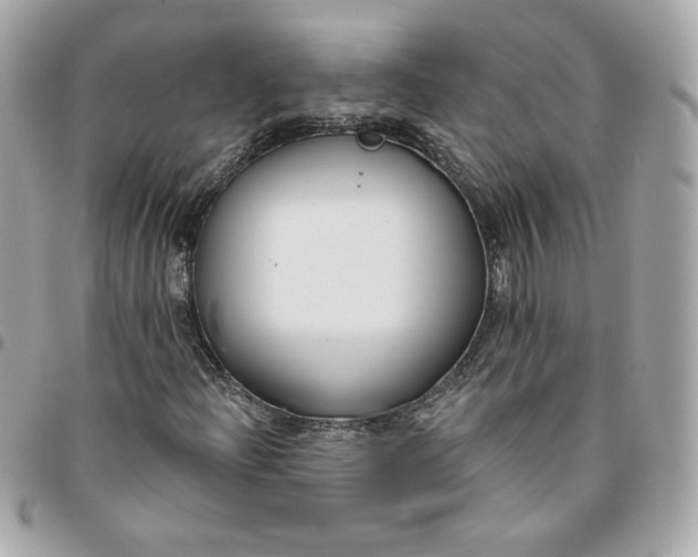 X0000096211204200802011314