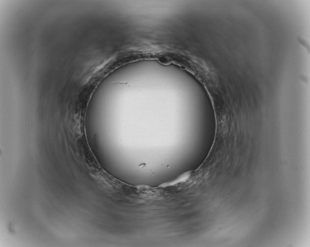 X0000096211205200802011314