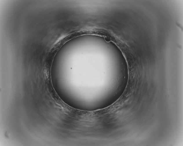 X0000096211206200802011314