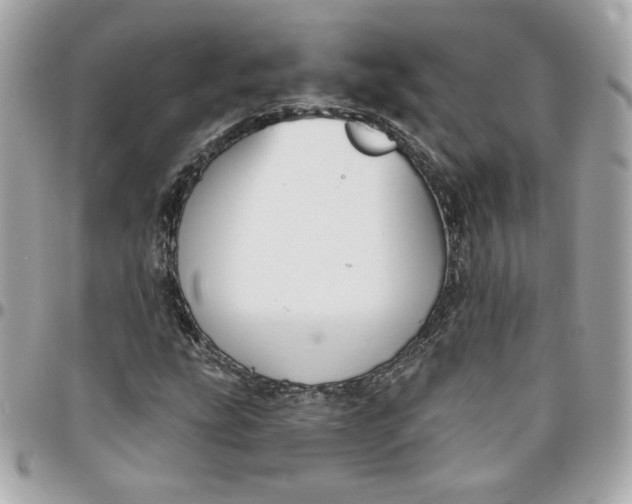 X0000096211207200802011314