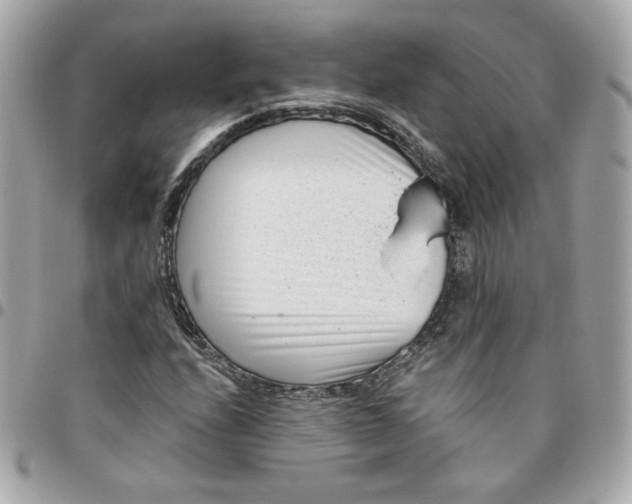 X0000096211208200802011314