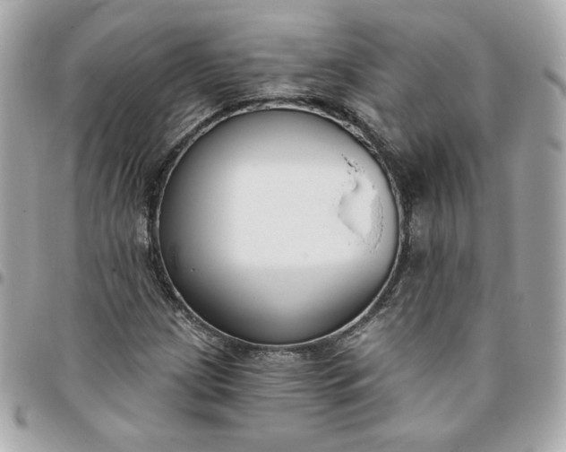 X0000096211209200802011314