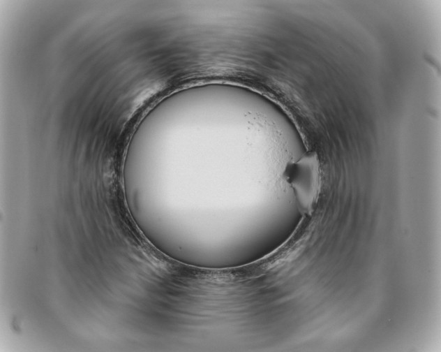 X0000096211210200802011314