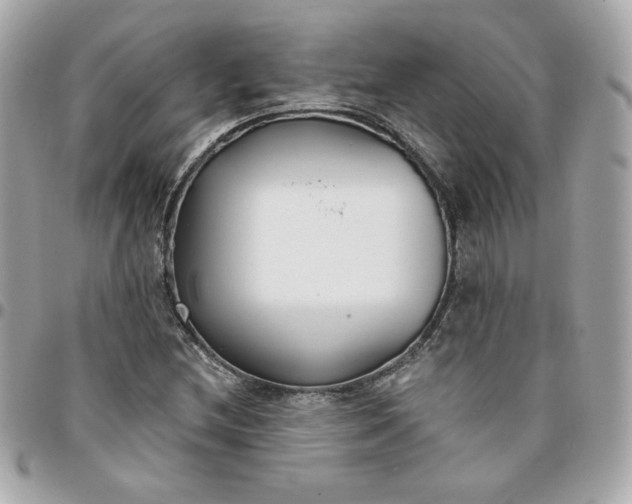 X0000096211212200802011314