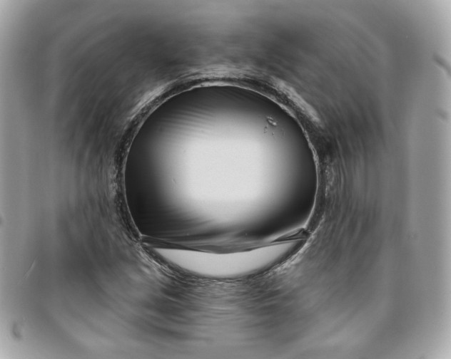 X0000096211213200802011314