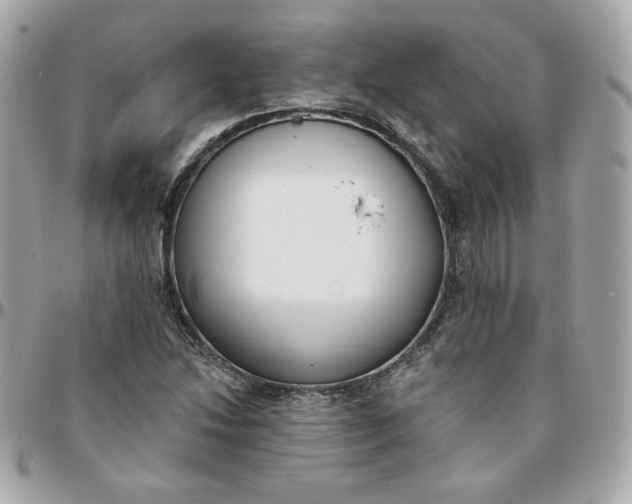 X0000096211214200802011314