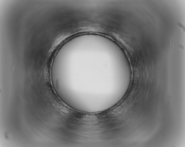 X0000096211215200802011314