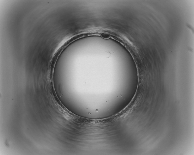 X0000096211216200802011314