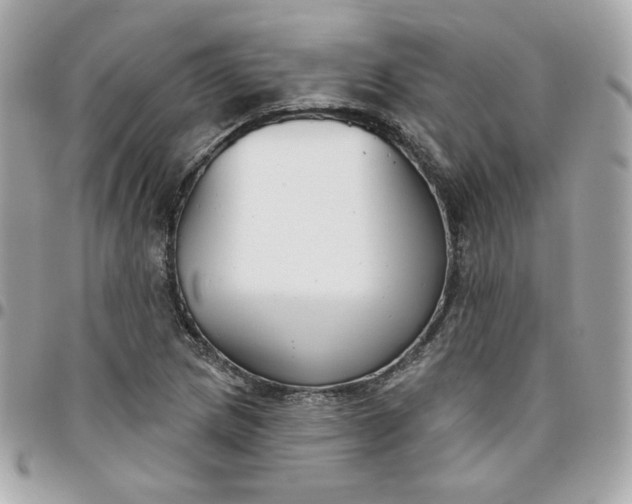 X0000096211217200802011314