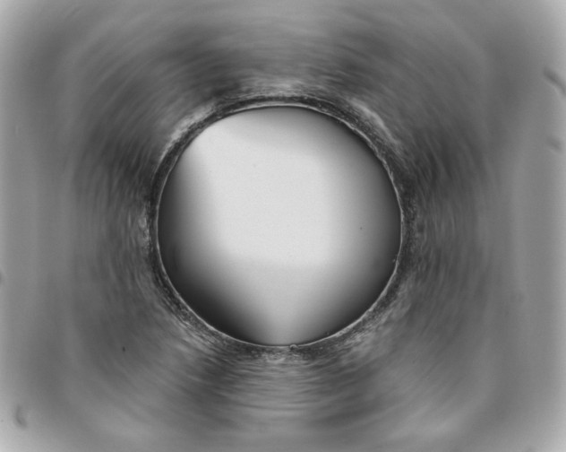 X0000096211218200802011314