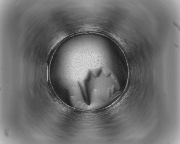 X0000096211219200802011314