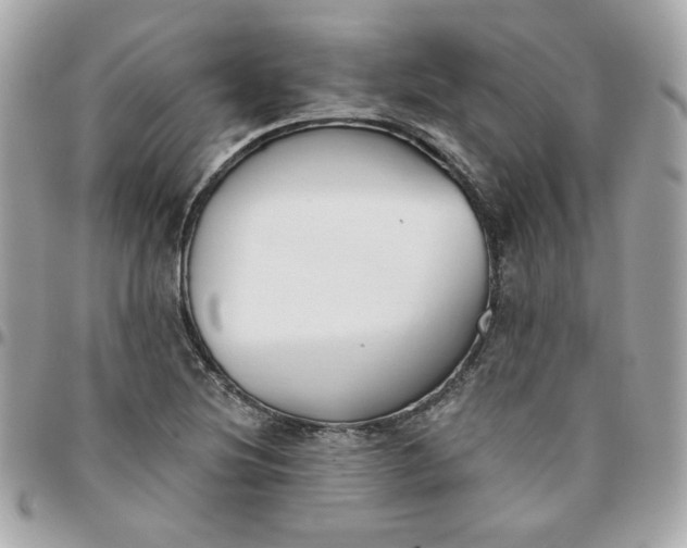 X0000096211220200802011314