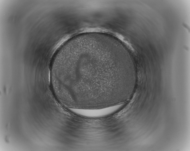 X0000096211221200802011314