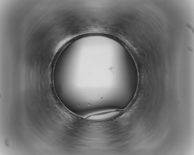 X0000096211222200802011314