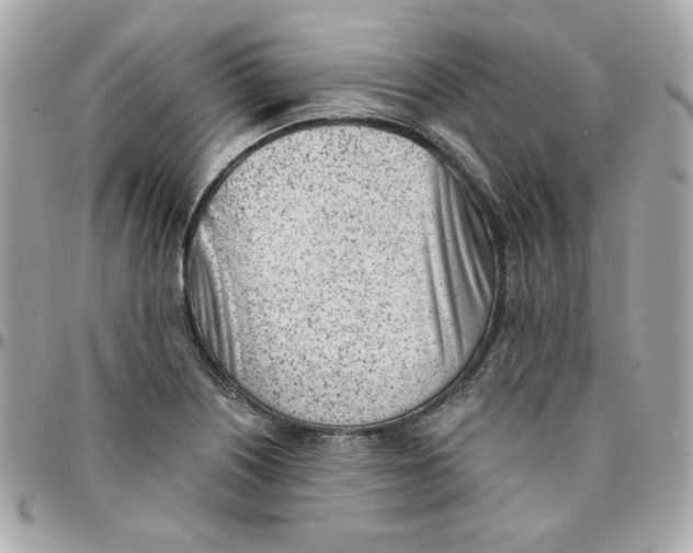 X0000096211226200802011314