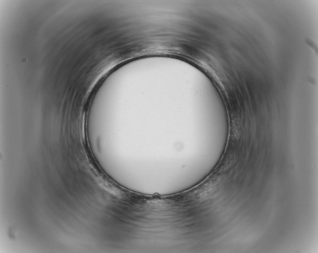 X0000096211227200802011314