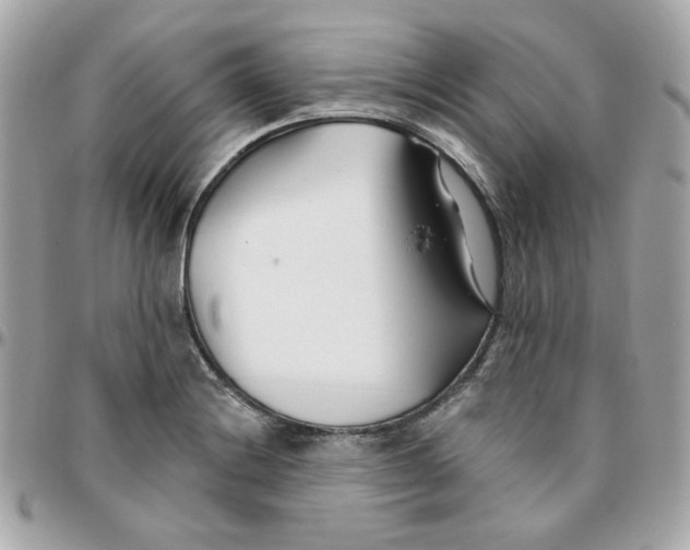 X0000096211228200802011314