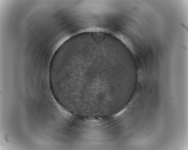 X0000096211229200802011314