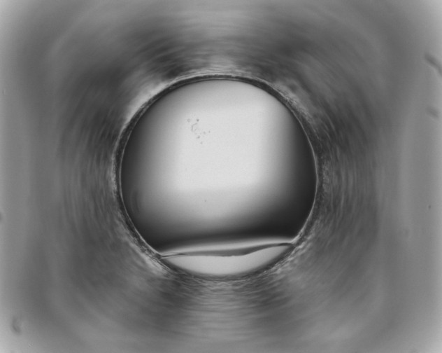 X0000096211230200802011314