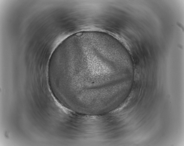 X0000096211231200802011314