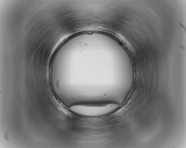 X0000096211232200802011314