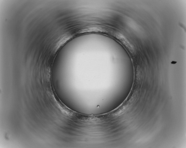 X0000096211233200802011314