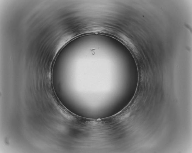 X0000096211234200802011314