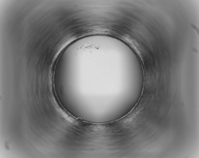 X0000096211235200802011314