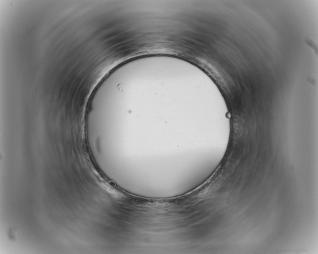 X0000096211236200802011314