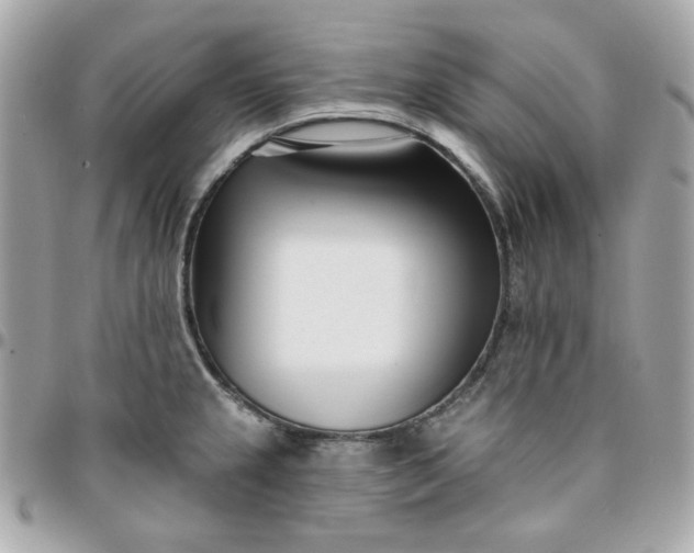 X0000096211237200802011314