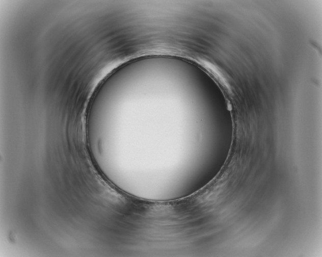 X0000096211238200802011314