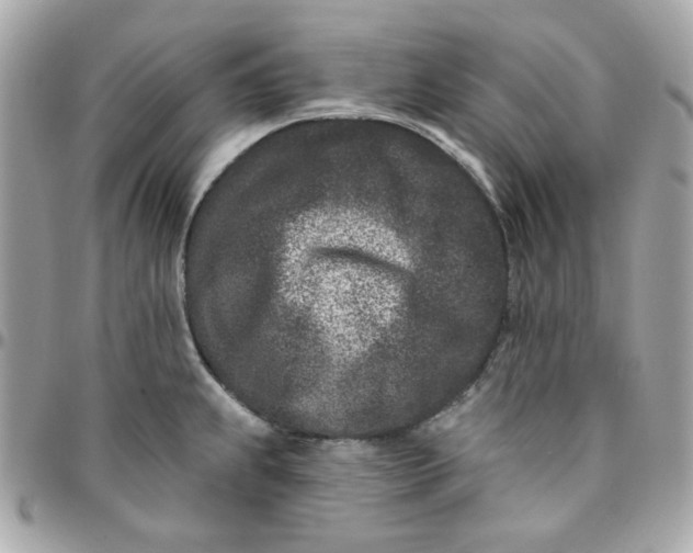 X0000096211239200802011314