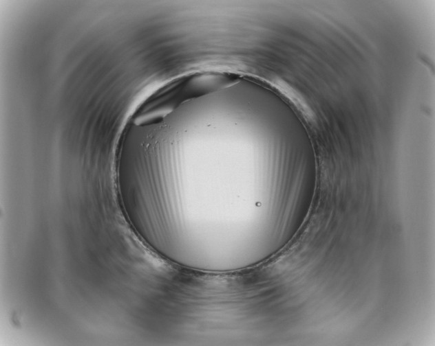 X0000096211240200802011314