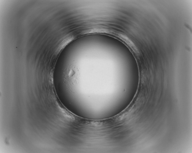 X0000096211241200802011314