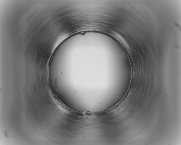 X0000096211242200802011314