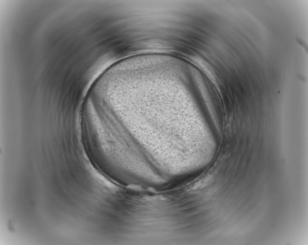 X0000096211243200802011314