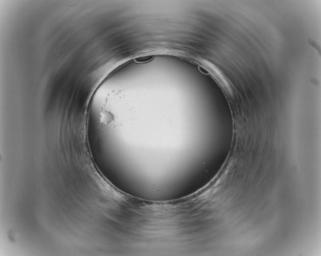 X0000096211244200802011314