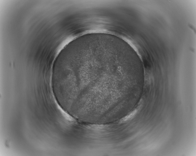 X0000096211245200802011314