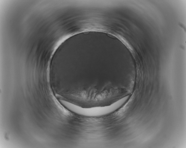 X0000096211246200802011314